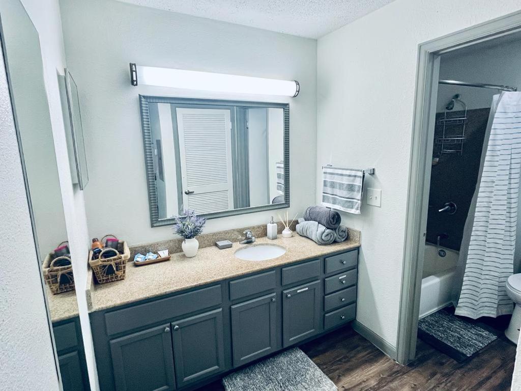 Heart Of Nrg/tmc Beautiful 77030 Apartment *
