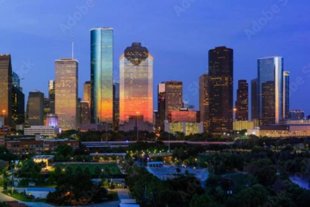 Heart Of Nrg/tmc Beautiful 77030 Houston
